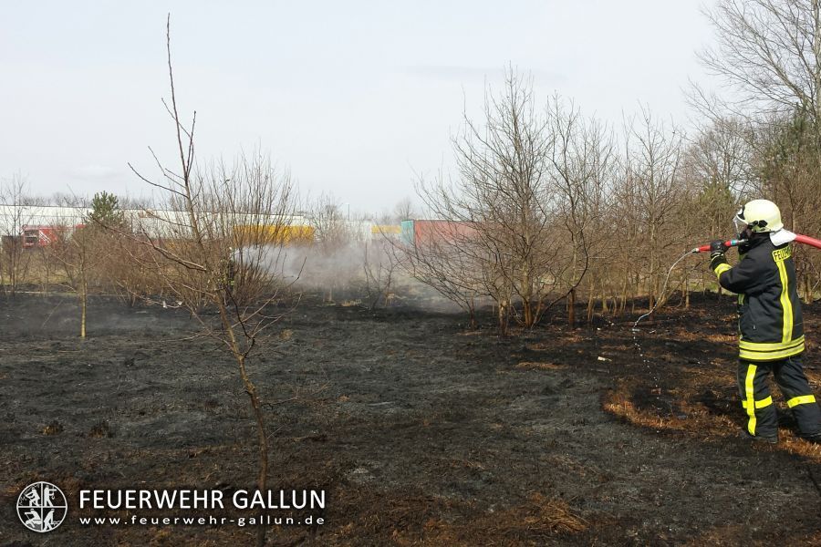 Einsatz 14-2015